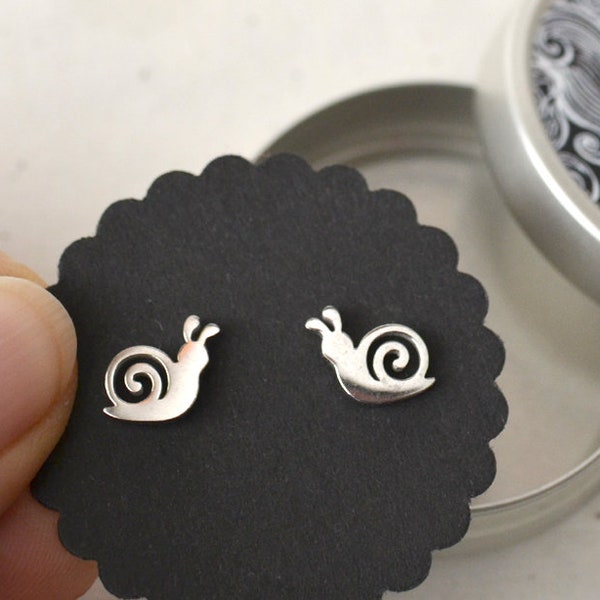Ear studs small snails, stainless steel, jewelry box