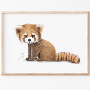 Kinderbild Poster A4 A3 "Roter Panda", Katzenbär, kleiner Panda, Tierposter, Kinderposter, Poster Kinderzimmer, Kinderbilder, Poster Kind