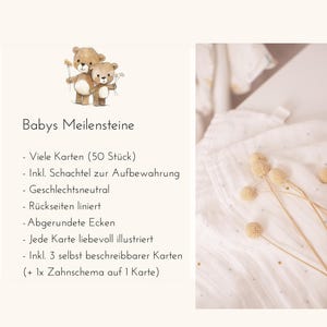 May include: A set of 50 baby milestone cards with rounded corners, featuring illustrations of two teddy bears holding flowers. The cards are gender neutral and come with a storage box. The set also includes 3 blank cards and a tooth chart.