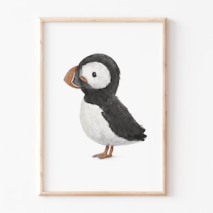 Kinderposter A4 A3 "Papageientaucher" Poster Puffin Kinderbild Poster, Kinderbilder, PosterKinderzimmer, Kinderbilder, Tierposter, Print