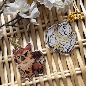 May include: Two owl-shaped acrylic keyrings with gold star clasps. One keyring depicts a brown and tan owl with a stern expression. The other shows a white and tan owl with large eyes. They rest on a woven background.