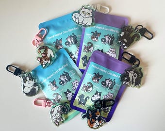 Friend shaped Cats Mystery Blind Bag – Cute Acrylic Charm Collection