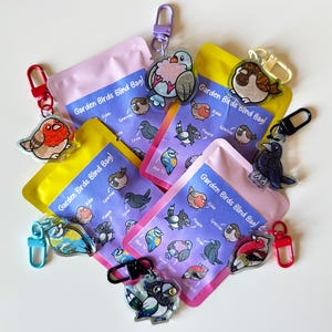 May include: Assortment of colorful blind bags with different bird designs. Each bag features the text "Garden Birds Blind Bag!" and includes a small, clear keychain with a cartoon bird illustration.