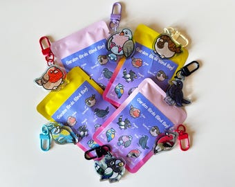 Garden Birds Mystery Blind Bag – Pigeon, Magpie, Crow, Blue Tit, Chaffinch, Sparrow & Robin Acrylic Charms