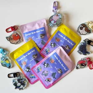 May include: A set of eight colorful keychains featuring different types of birds. Each keychain has a clear plastic charm with a cartoon bird illustration and the text "Garden Birds Blind Bag!" printed on the packaging.
