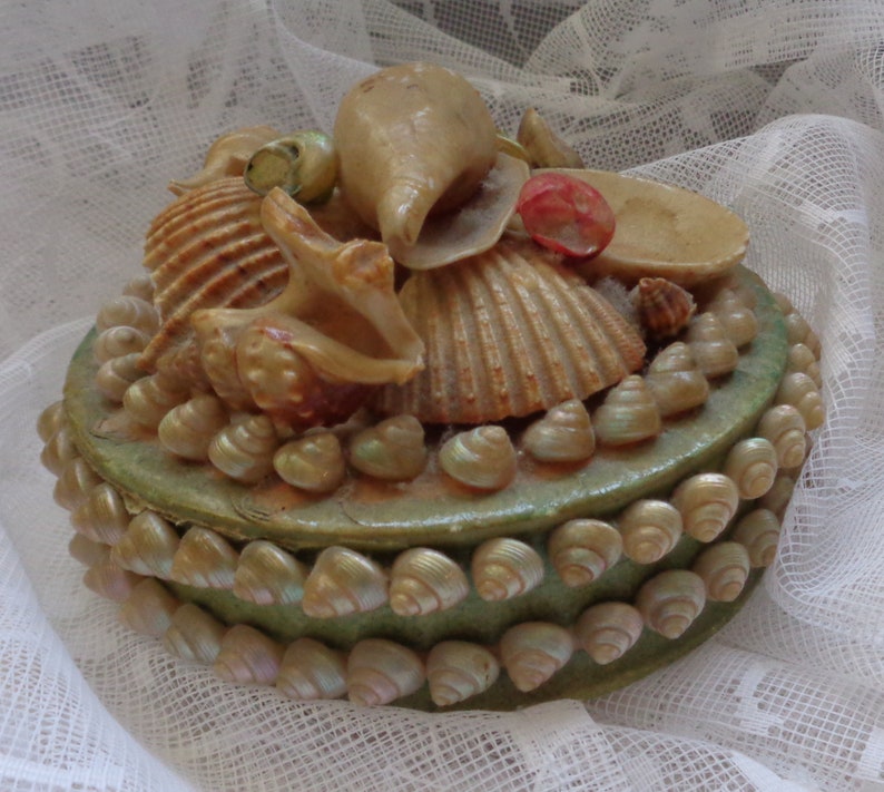 Shell can-jewellery can-enchanting antikeold tin-storage-1955