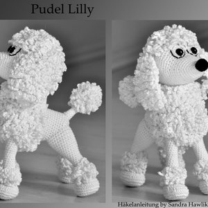 Crochet pattern, template, crochet pattern, crochet, amigurumi, crocheted, German, poodle, dog, pdf