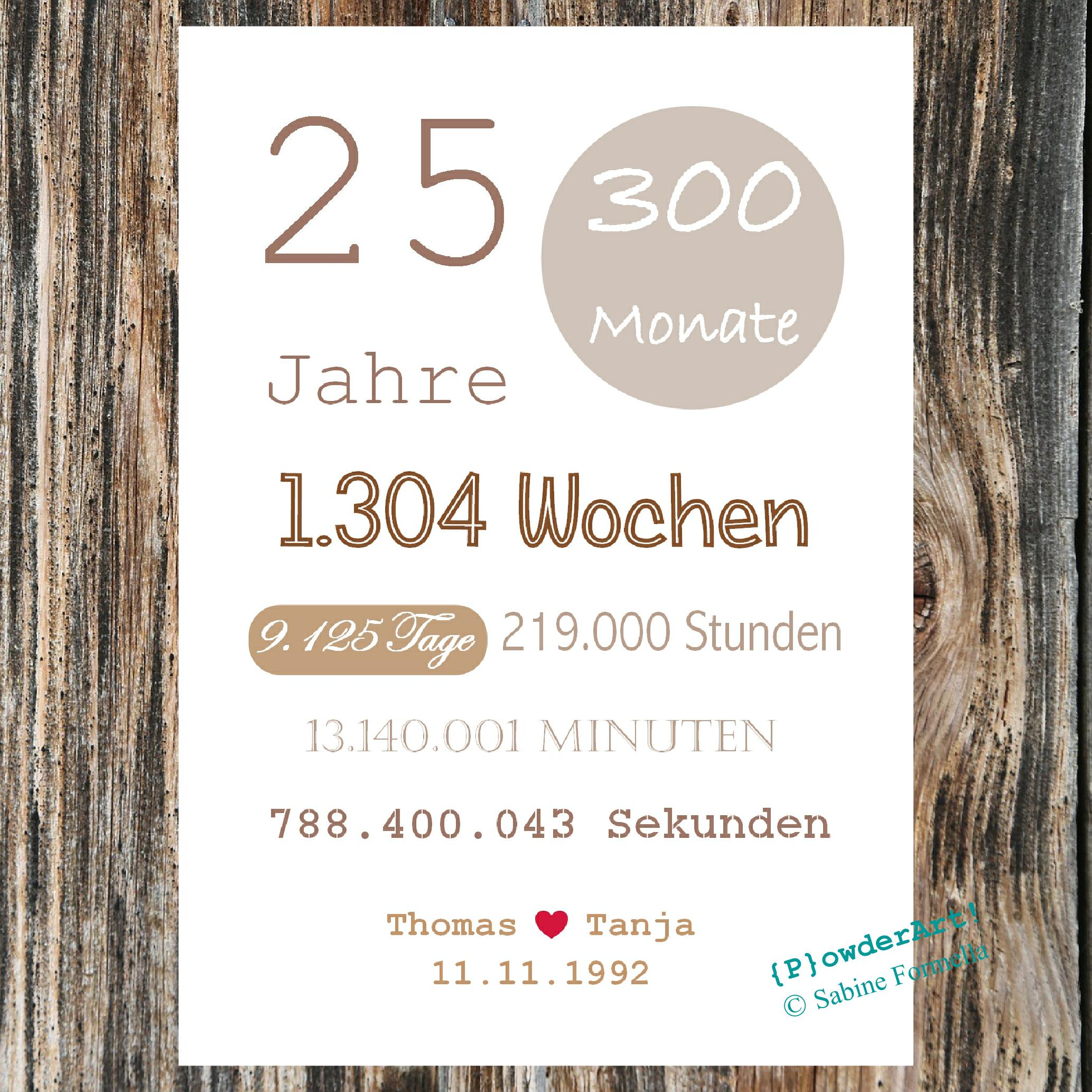 Silbernes Banner Zum 25. Hochzeitstag – 184,9 X 110 Cm Fotohintergrund Mit Aufhänge-Seil