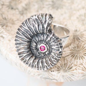 Könnte beinhalten: Silberner Ring mit detailliertem Ammoniten-Design. Der Ring hat ein Spiralmuster und einen kleinen, runden, roten Edelstein in der Mitte. Er liegt auf einer strukturierten, cremefarbenen Oberfläche.