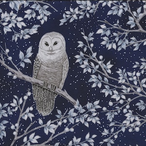 Può includere: Tessuto blu scuro con un'illustrazione dettagliata di un gufo barrato su un ramo. Il gufo è nei toni del grigio e del bianco, circondato da foglie e bacche bianche su uno sfondo di cielo stellato. Adatto per progetti di artigianato.