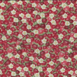 Op de afbeelding: Een rode en witte stof met een herhalend patroon van aardbeien en witte bloemen. De stof is een close-up van een herhalend patroon.