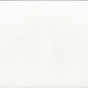 Peut inclure: Une feuille de papier blanche avec une règle jaune sur le côté droit. La règle est graduée en pouces de 1 à 20.