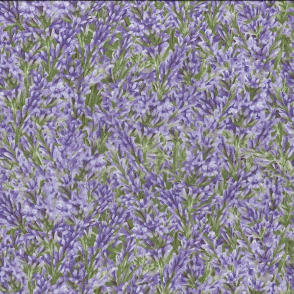 Patchworkstoff  "Lavender Garden" Lavendelfeld, Lavendelbusch