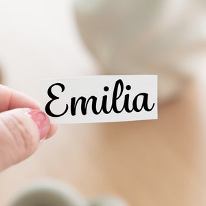 Pegatinas con nombres | Pegatina personalizada | Nombres de subtítulos | Nombre de la pegatina de vinilo