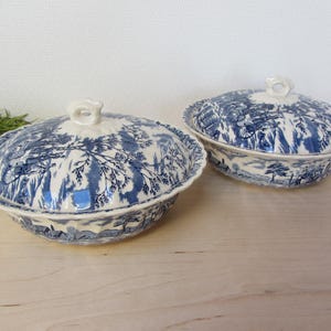 Può includere: Due ciotole da portata in ceramica bianca con motivi floreali blu e bianchi. Le ciotole hanno coperchi con un pomo in cima.