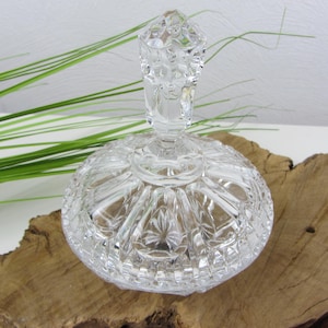 May include: A clear, cut-glass candy dish with a lid, featuring a textured, faceted design. The lid has a decorative handle. The dish is displayed on a piece of wood, with green grass-like plants in the background.