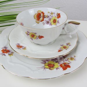 Schumann ARZBERG COLLECTOR&#39;S CUP, 50s collector&#39;s set coffee set, colorful flowers, cup cake plate, vintage floral decor porcelain, table setting