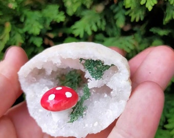 Geode caves/mushroom cave / crystal cave / quartz geode / moss cave / witch / mushroom / mushroom core / fairy / crystals / gemstone