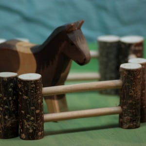 5 Waldorf-style pasture fences