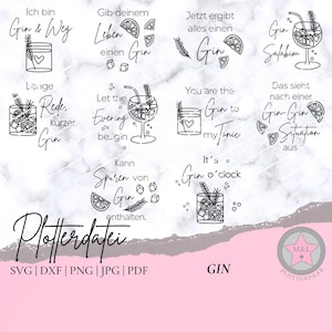 File di plotter "GIN" Gin Coaster detti divertenti bottiglia borsa regalo Svg Dxf Png Jpg Pdf Silhouette Cricut Plotter Plot File