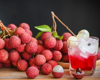 20 Giant Lychee Seeds Exotic Fruit Heirloom Sweet Tropical Fruit Litchi  Chinensis Seed