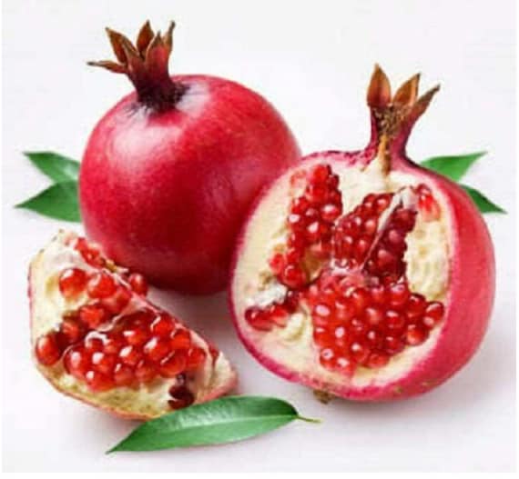 60 Pomegranate Seeds Red Fruit Seeds Punica Granatum Bonsai Megranate