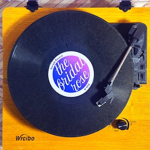 Custom Vinyl Record Guest Book: Upcycled Event Decor