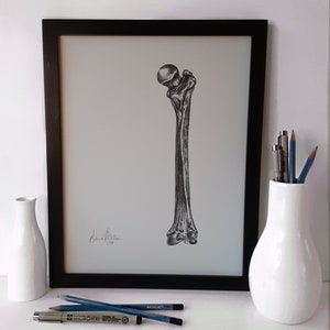 May include: A black and white drawing of a human femur bone, framed in a black frame. The drawing is signed "Laura Walton 2019".