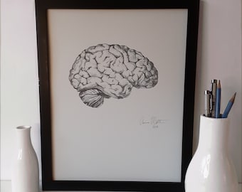 ANATOMICAL BRAIN, 5 x 7", 8 x 10", or 11 x 14" print, pen and ink, neurology, Micron pens, hand-drawn, anatomy, medical art, home décor