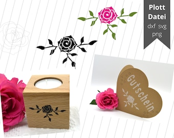 File plotter Rosa
