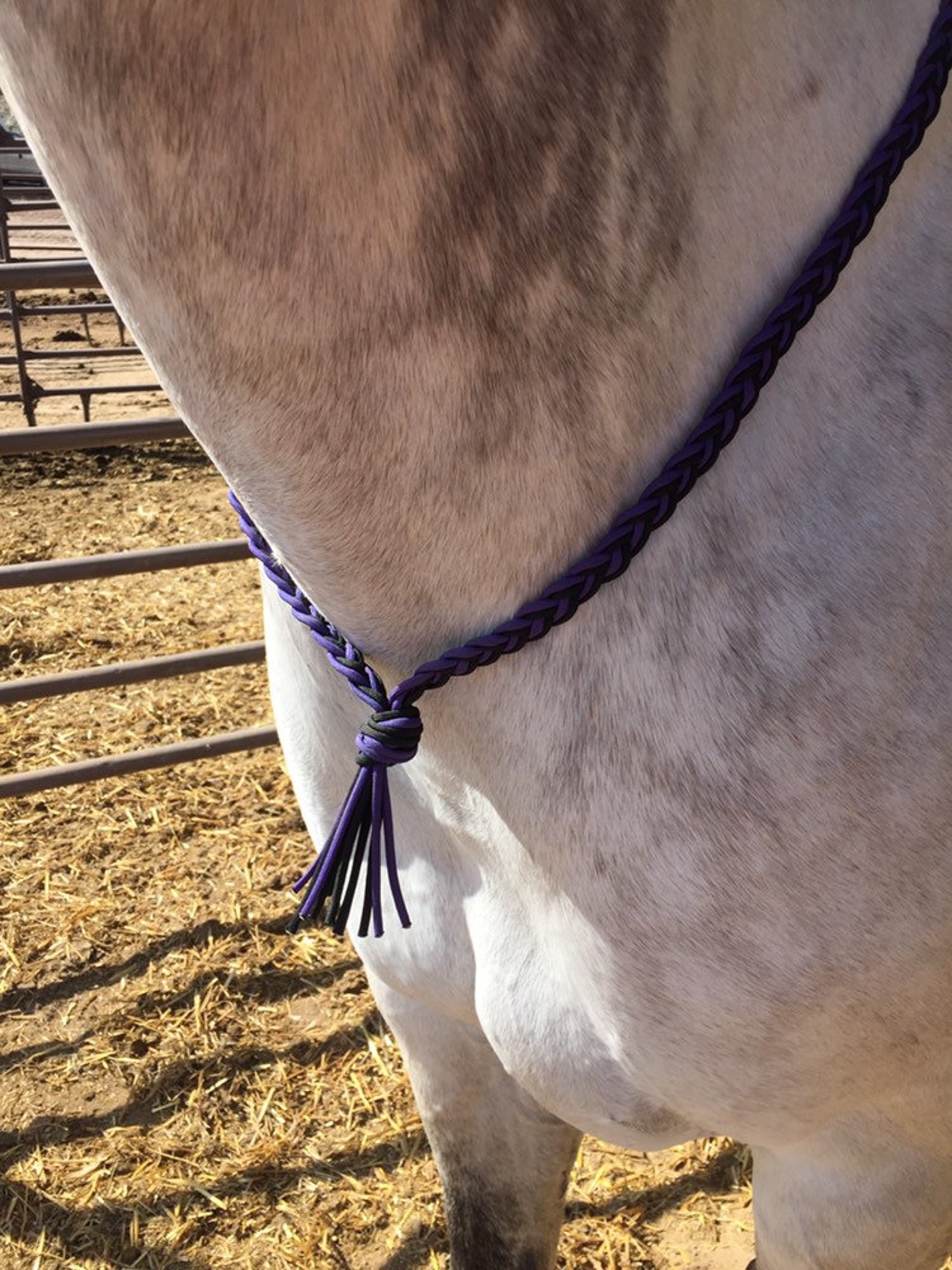 Horse Neck Rope Purple and Black Paracord Etsy