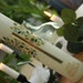 see more listings in the Baptism and communion candles section