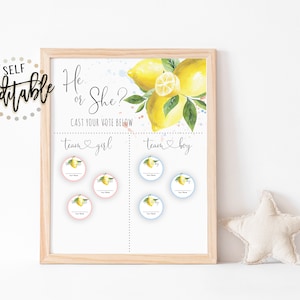 Lemons Gender Prediction Sign, He Or She Activity, Pink and Blue Watercolor Splash, Boy Or Girl Game, Gender Reveal Party, Cast Your Vote