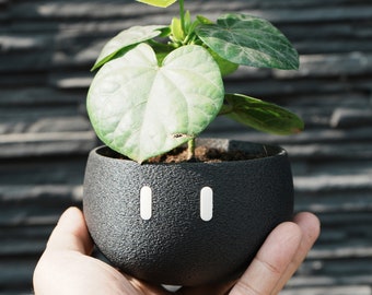 Mini EMOO_Indoor planter/Succulent Pot/Caudex Pot/3D Printed/Eco-Friendly Material