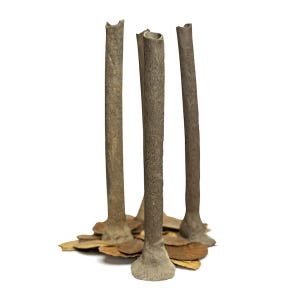 Op de afbeelding: Een set van drie hoge, slanke, cilindrische vazen met een getextureerd bruin oppervlak dat lijkt op boomschors. De vazen staan rechtop en zijn bij elkaar geplaatst, rustend op een basis van verspreide, gedroogde, lichtbruine bladeren.