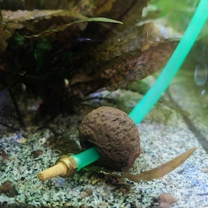 Op de afbeelding: Een bruin, poreus aquariumfilter met een groene slang en messing fitting. Het filter is ondergedompeld in een aquarium met waterplanten en grind. Het filter is ontworpen om het water te reinigen en te beluchten.