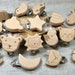 see more listings in the Holzclips section