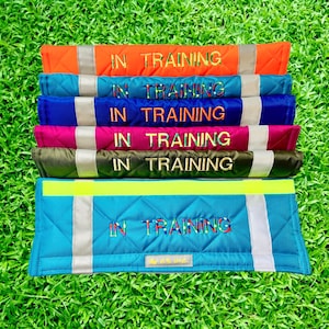 IN TRAINING Dog Lead Slip Cover / or personalise text (all languages) - 23 colour choices