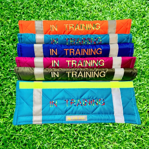 IN TRAINING Dog Lead Slip Cover / or personalise text (all languages) - 23 colour choices