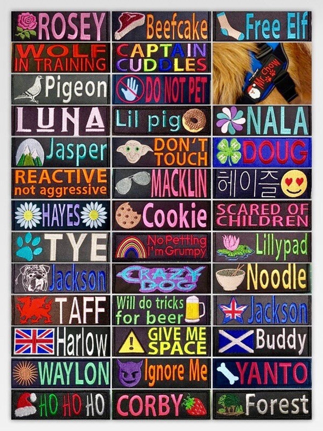 2 Embroidered Dog Name Patches, Velcro, Personalised Text/design Etsy