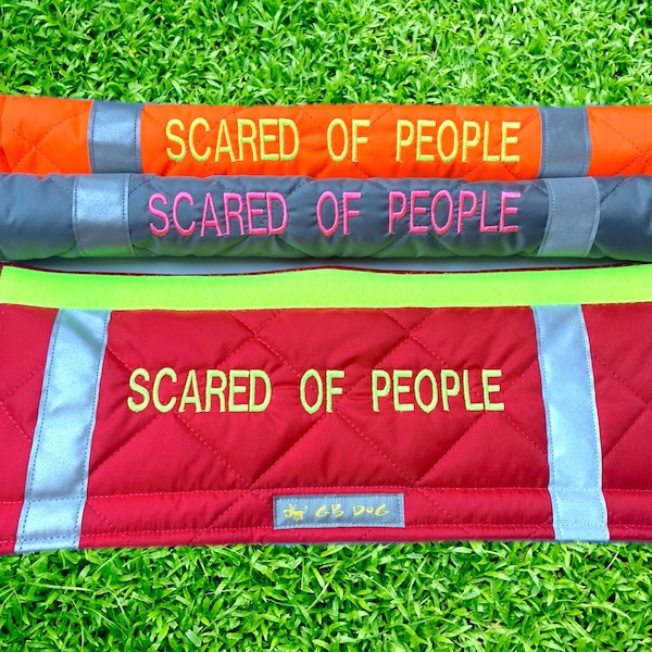 SCARED OF PEOPLE Dog Lead Slip Cover / or personalise text (all languages) - 23 colour choices