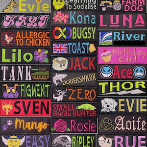 Pode incluir: Uma coleção de patches bordados com vários designs e texto. Os patches apresentam nomes como "Evie", "Kona" e "Mango", juntamente com frases como "Alérgico a frango" e "Small Game Hunter". Os patches são em várias cores.