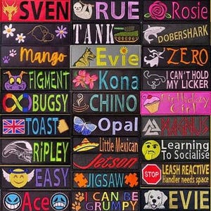2 Gestickte Hundenamenpatches, Klettverschluss, personalisierter Text / Design