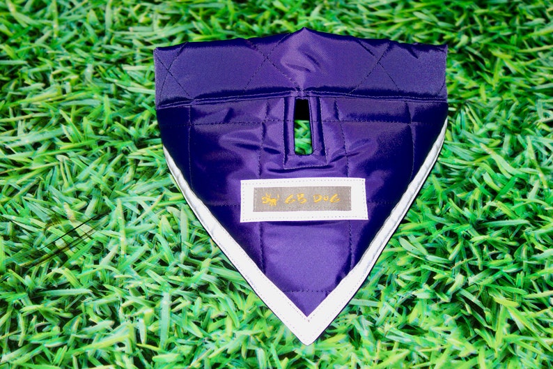 Purple SafetyReflectiveAdjustable Dog Bandana with Gap for TagLead