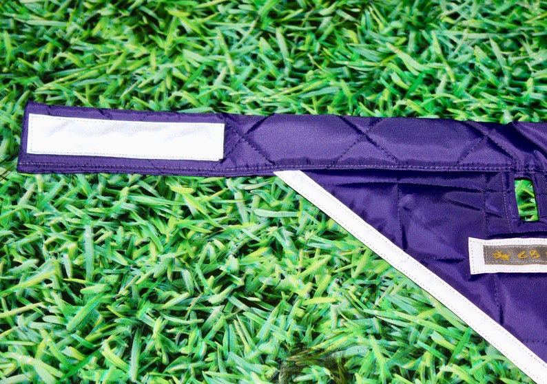 Purple SafetyReflectiveAdjustable Dog Bandana with Gap for TagLead