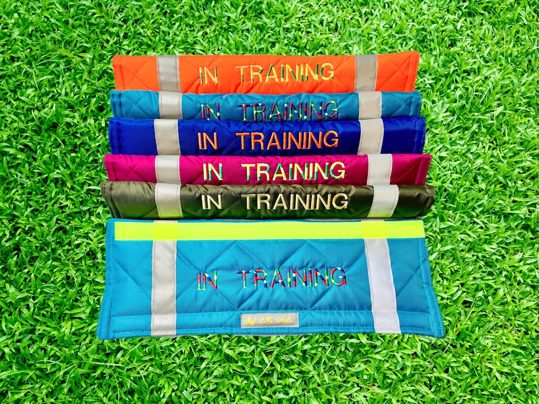 IN TRAINING Dog Lead Slip Cover / or Personalise Text all Languages 23 Colour Choices Etsy
