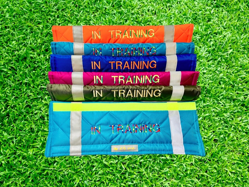 IN TRAINING Dog Lead Slip Cover / or personalise text all languages 23 colour choices image 1