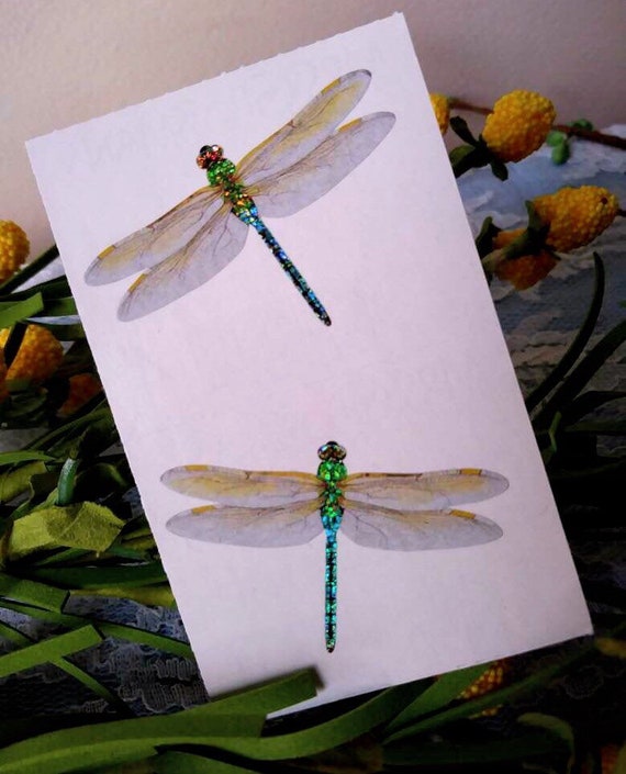 UP TO 20/% OFF!!! DRAGONFLY Mrs Grossman/'s Sticker SPARKLE