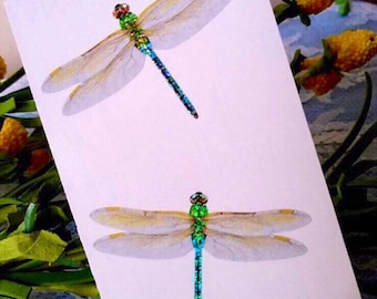 Sparkle Dragonfly Stickers - Mrs Grossman’s  Stickers by the Yard Collection Dragonflies Transparent Wings Pond Change