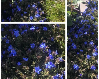 Mobel Wohnen Tischdecken Rot Und Blau Tischlaufer Hippie Blumenkunst